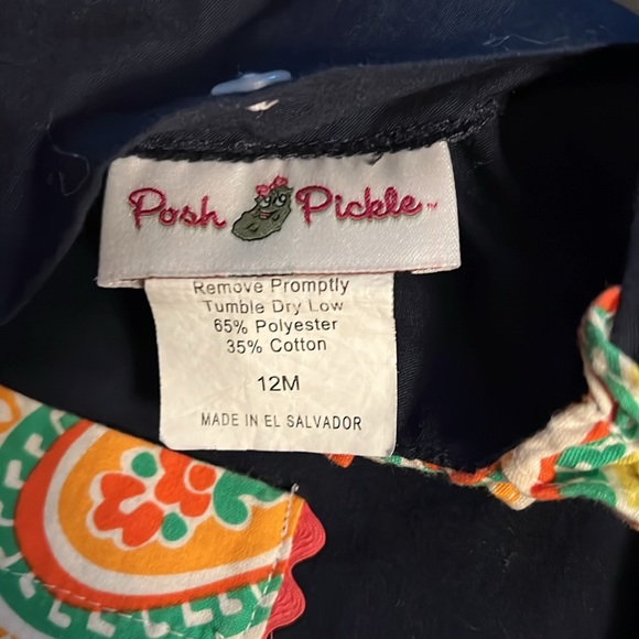 Posh Pickle Dress - Picture 3 of 3